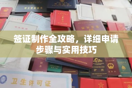眉县签证制作全攻略，详细申请步骤与实用技巧